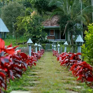  Resort Ayurnest Pool Wayanad
